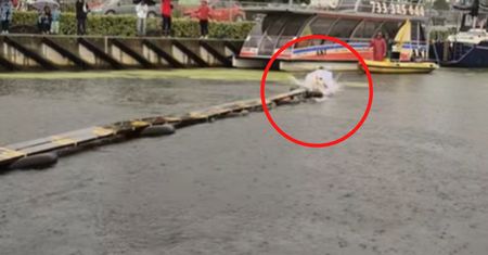 Sceny w Kołobrzegu. Nagranie trafiło do sieci. Ludzie reagują