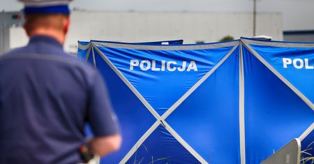 Śmiertelny wypadek w Pleszewie. Dwie osoby nie żyją po zderzeniu busa i ciężarówki