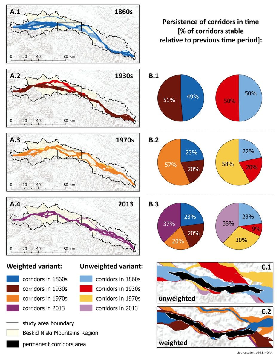 Korytarze dla niedźwiedzi brunatnych łączące Beskid Sądecki 