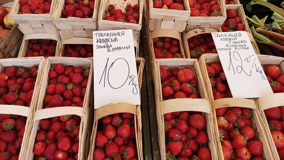 truskawki po 10 i 12 złotych za kilogram