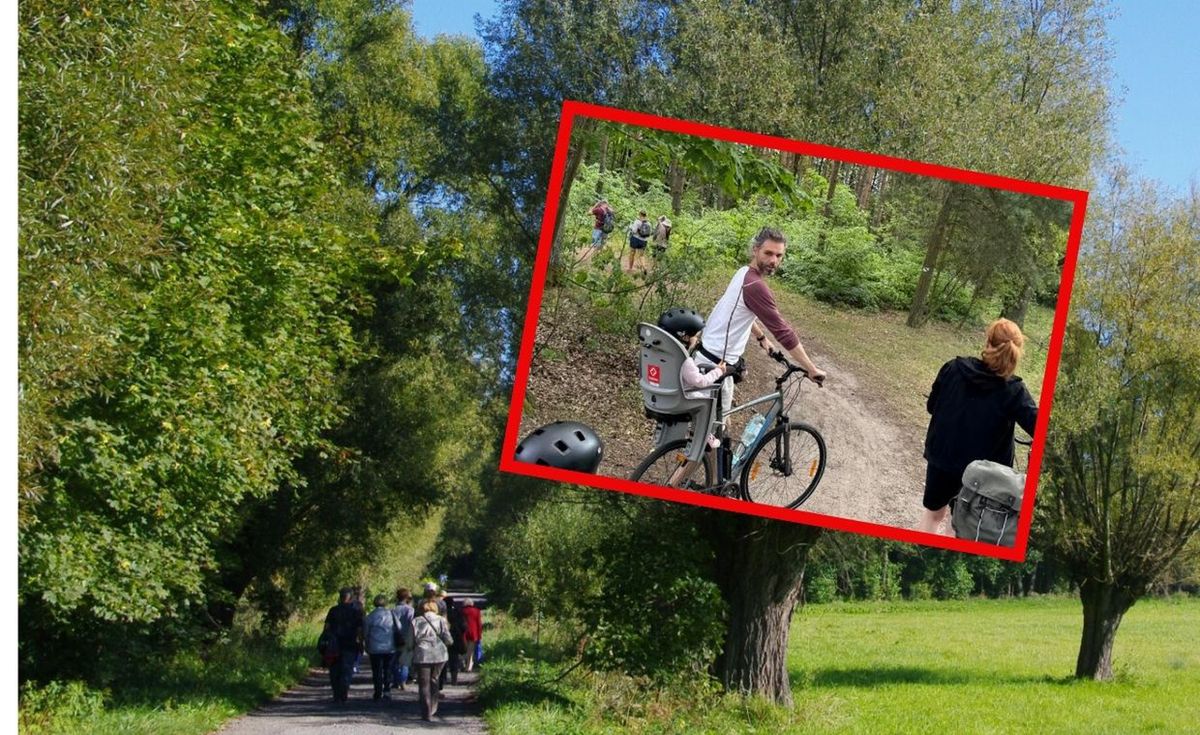 lokalne, puszcza kampinoska, turyści Malownicze miejsce tuż obok Warszawy. Parkingi są pełne turystów