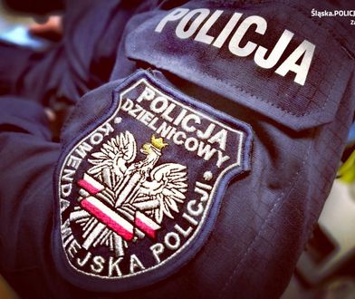 Zabrze. Dziecko spacerowało po parapecie,  zareagował świadek