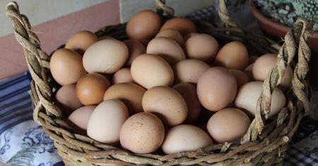 Czym zastąpić jajka? Najlepsze zamienniki, które znajdziesz w kuchni