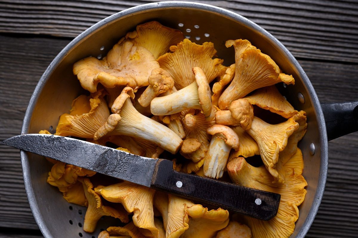 The secret to perfectly clean chanterelles using flour