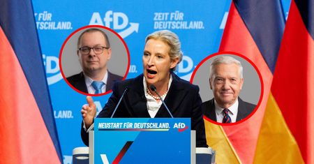 Triumf AfD a Polska. Ekspert wskazuje trzy kwestie
