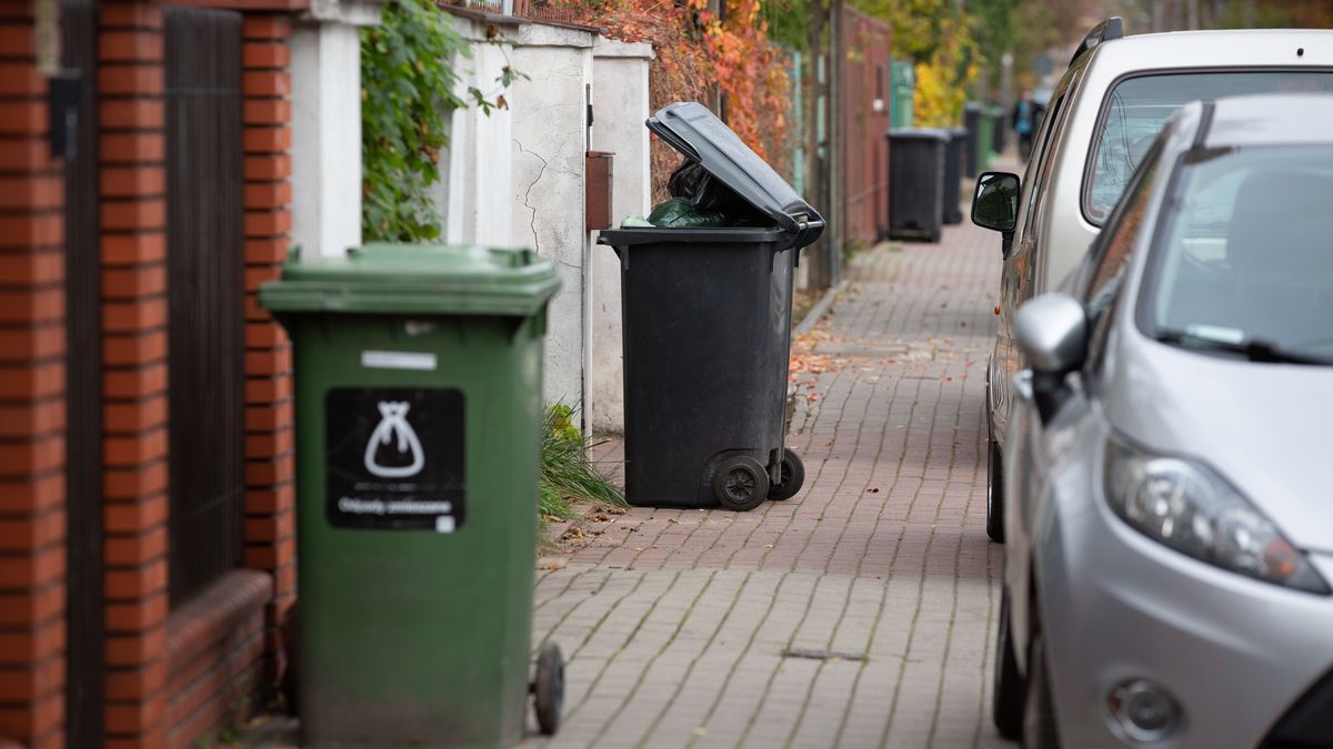 śmieci odpady segregacja śmieciarka wywóz śmieci kontener śmietnik