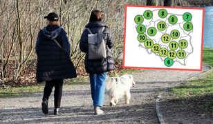 Totalny zwrot w pogodzie. Tak ciepło dawno nie było