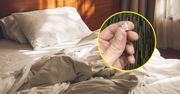 Nie do wiary, co znalazł w hotelowym łóżku. "Drapnęła mnie"