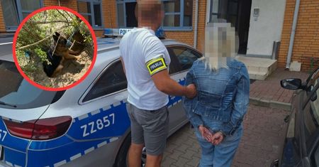 Pies męczył się cztery dni. Ludzie nie darowali. Znaleźli właścicielkę