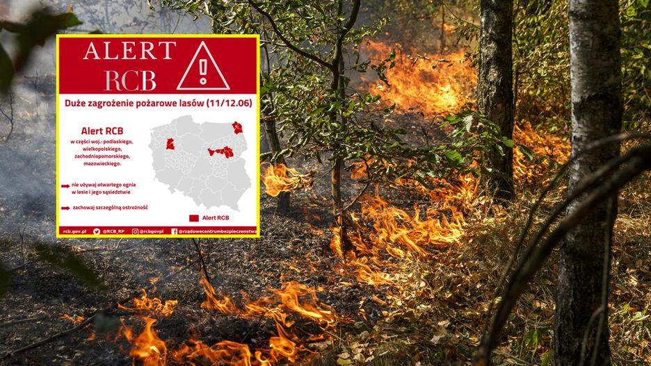 RCB wydało alert dotyczący zagrożenia pożarowego w lasach