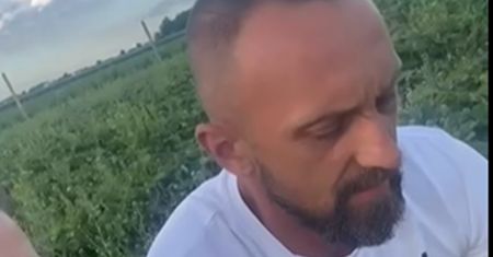 Samozbiory truskawek odwołane. Dramat sadowników. Wszystko zniszczone