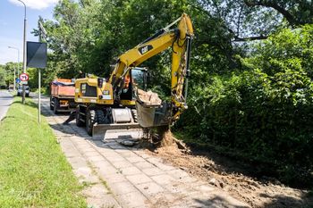 Poznań: Ruszyły prace na Dolnej Wildzie. Projekt "Rowerem na Wartostradę"
