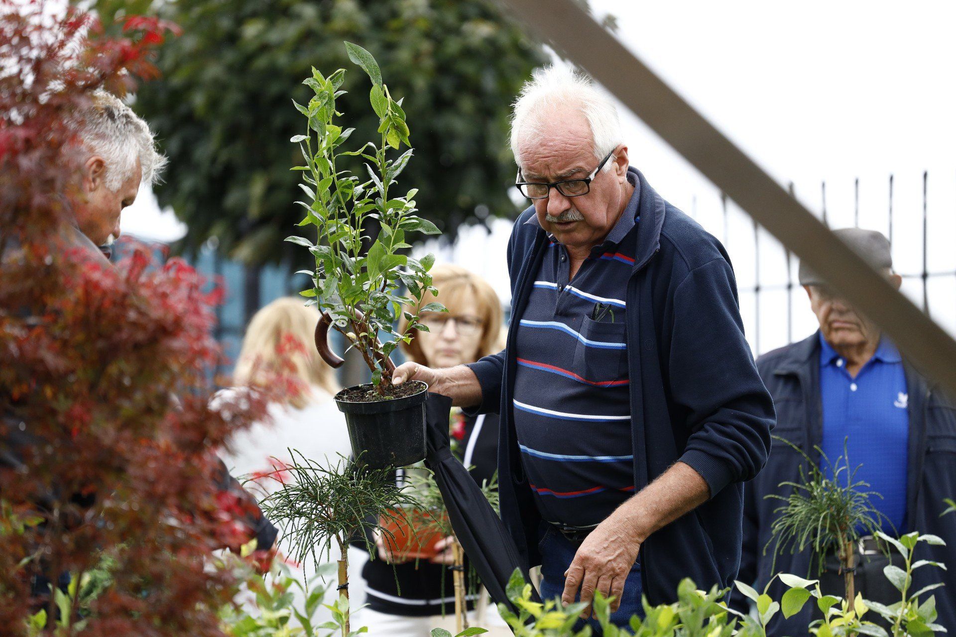 Stoiska ogrodnicze pełne inspiracji dla domu i ogrodu