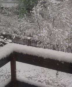 Pogoda w Polsce gwałtownie się pogorszyła. Opady śniegu, burze, ulewne deszcze, a nawet trąby powietrzne