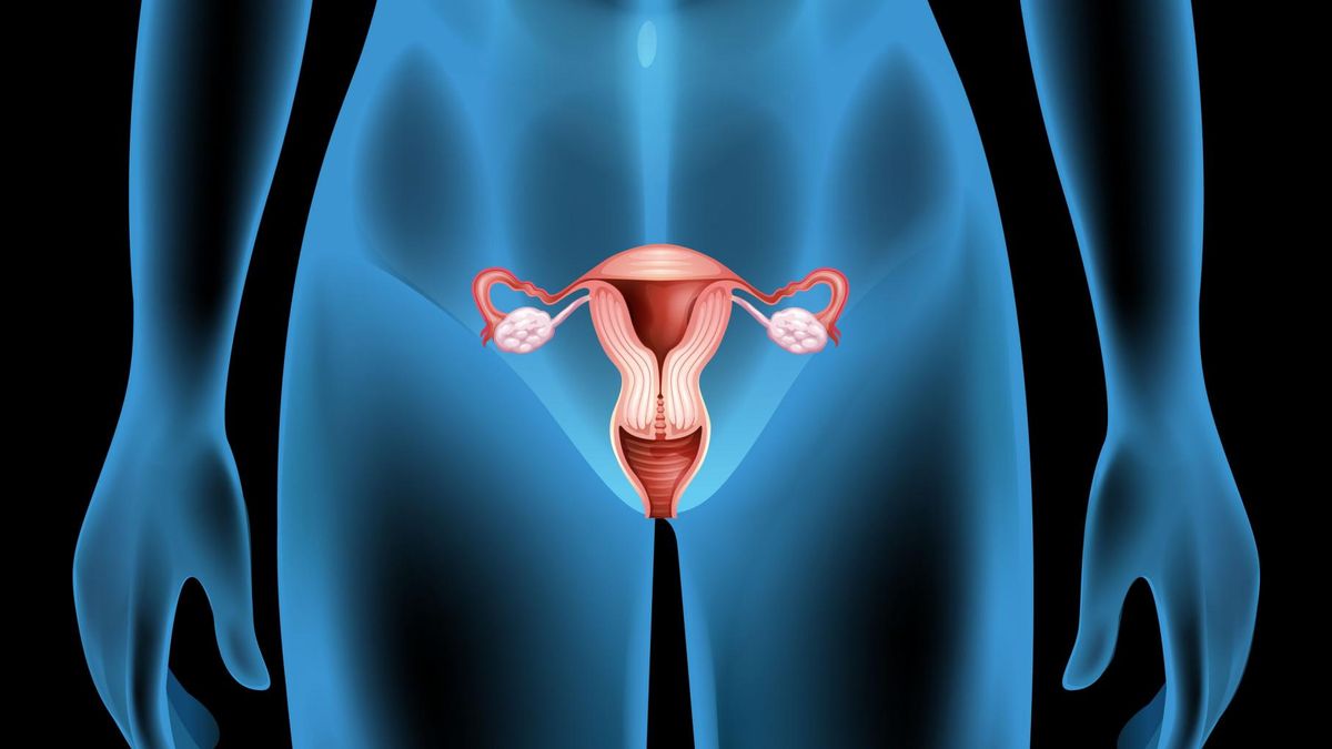 Wagina może mieć różny kształt, bo każda kobieta jest inna.