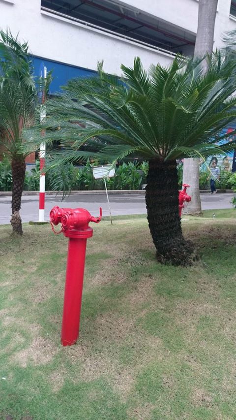 W skrócie: obudowa iPada 5, nowe kolory Galaxy S4 mini, karty podarunkowe w Google Play 6