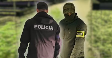 Trzymali to w piwnicy. Odkrycie warte pół miliona złotych