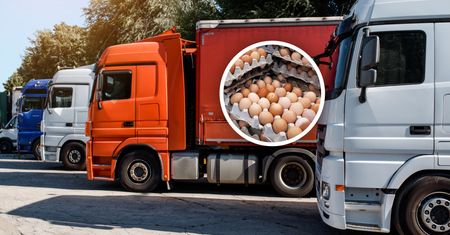 Zatrzymali transport z Turcji. Oto co miało trafić do sklepów w Polsce