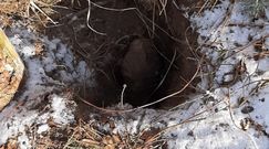 Niebezpieczne odkrycie w lesie w Lubuskim