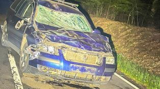 Żubr nie przeżył. Koszmarne zderzenie na drodze
