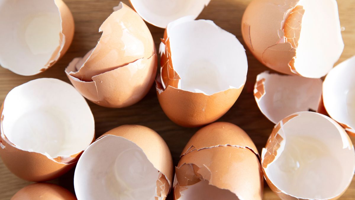 Jak wykorzystać skorupki jajek?