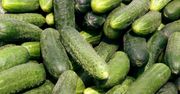 "Kryzys ogórkowy". Ceny drastycznie idą w dół