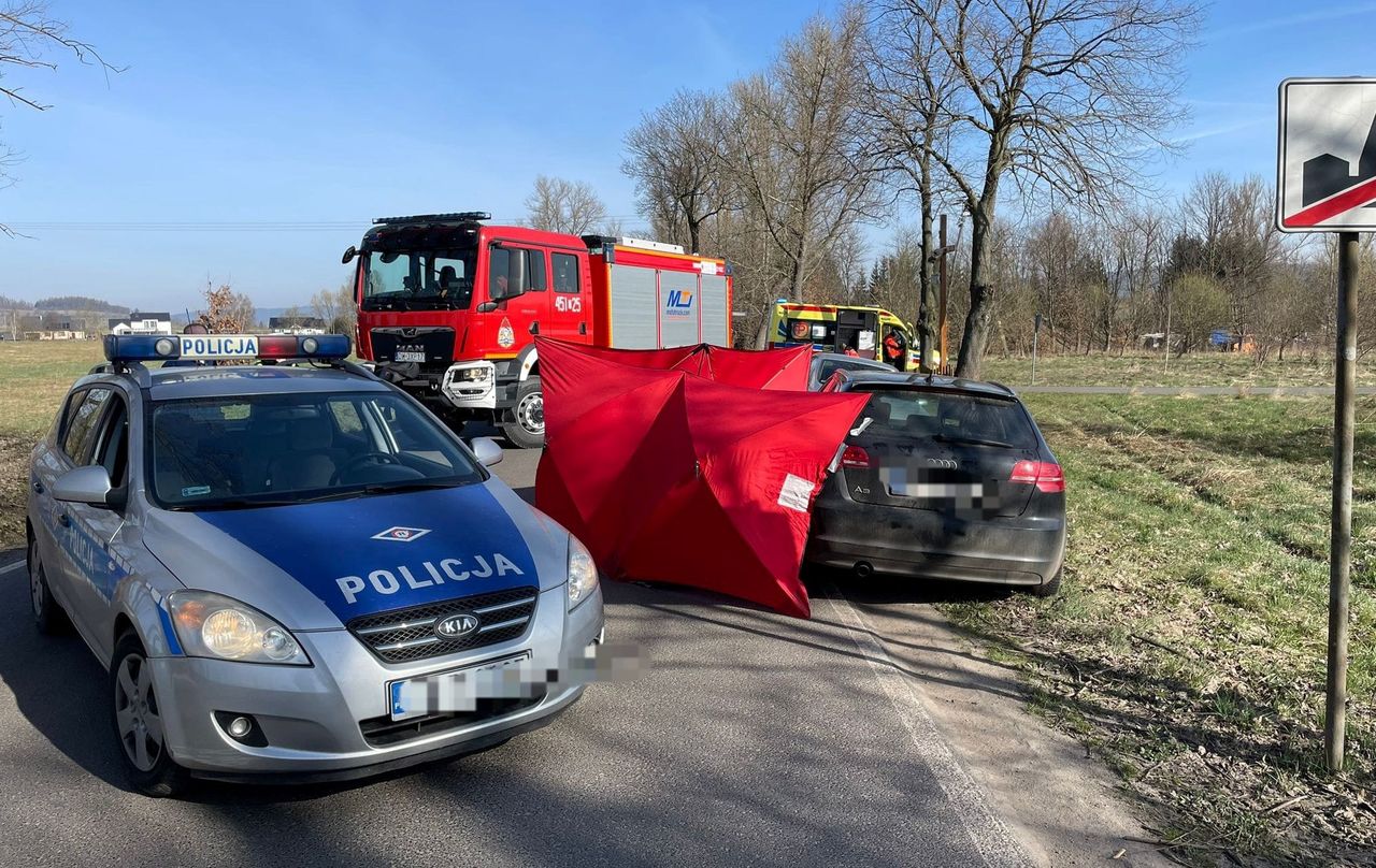 Tragedia na Dolnym Śląsku. Zmarł na poboczu