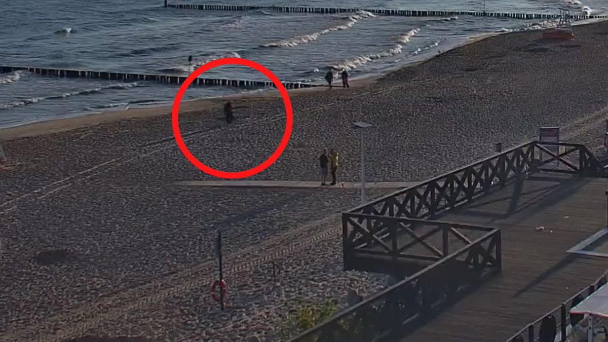 Przemierzał plażę z wykrywaczem metalu.
