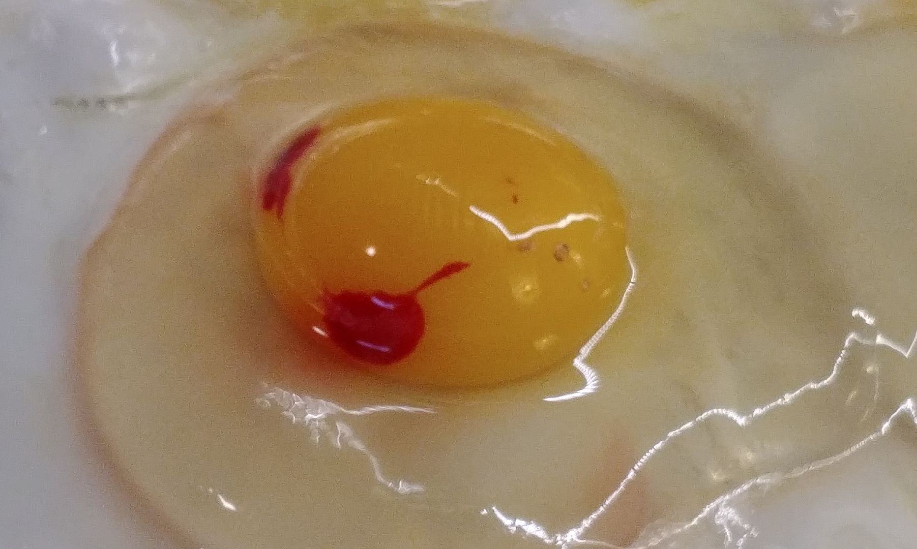Plamka krwi w jajku. Czy jest niebezpieczna i czy takie jajko trzeba wyrzucić?