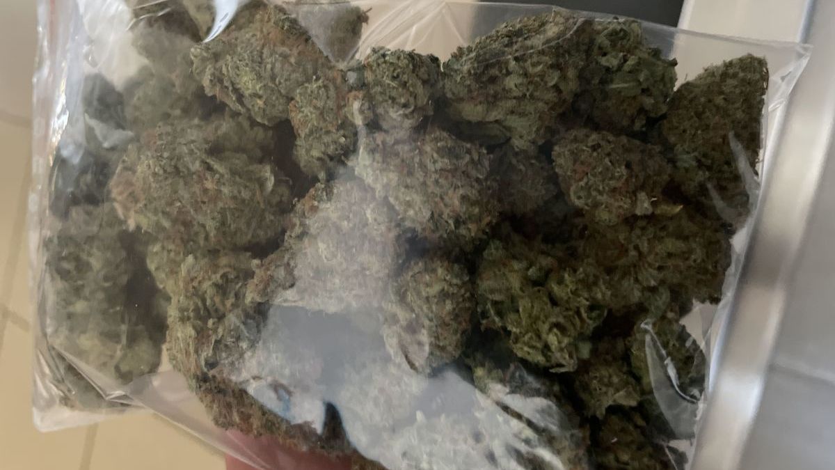 marihuana, amfetamina i inne zakazane substancje | fot. policja