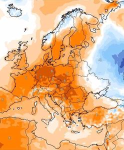 Zimy już nie będzie? Najnowsza prognoza mocno zaskakuje