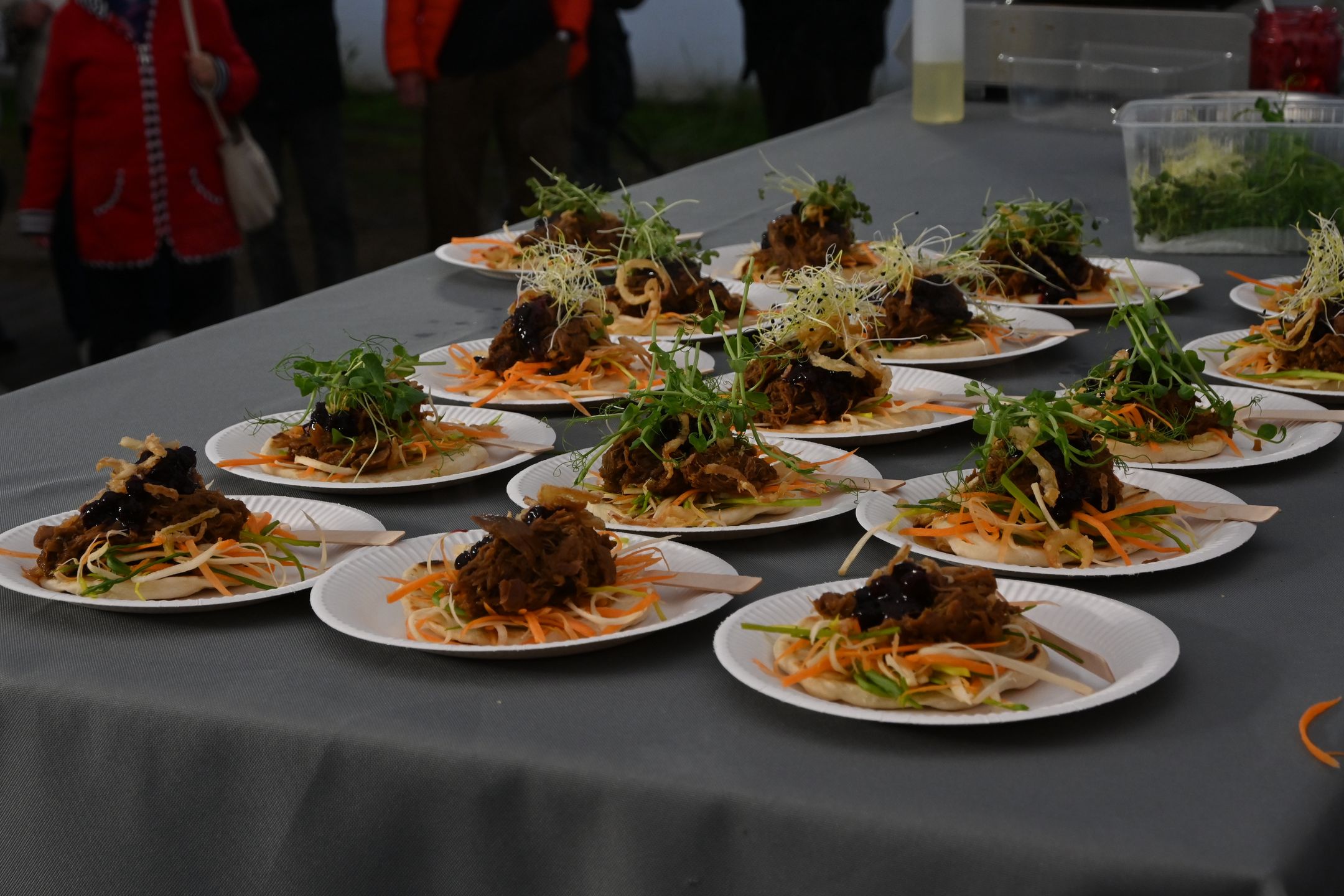 Szarpana gęś z proziakami i warzywami