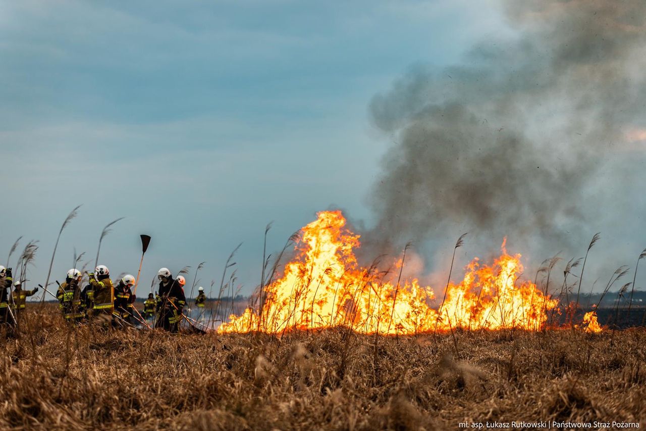 Szef MSWiA o sytuacji na Podlasiu. "Służby gotowe do ewakuacji ludzi"