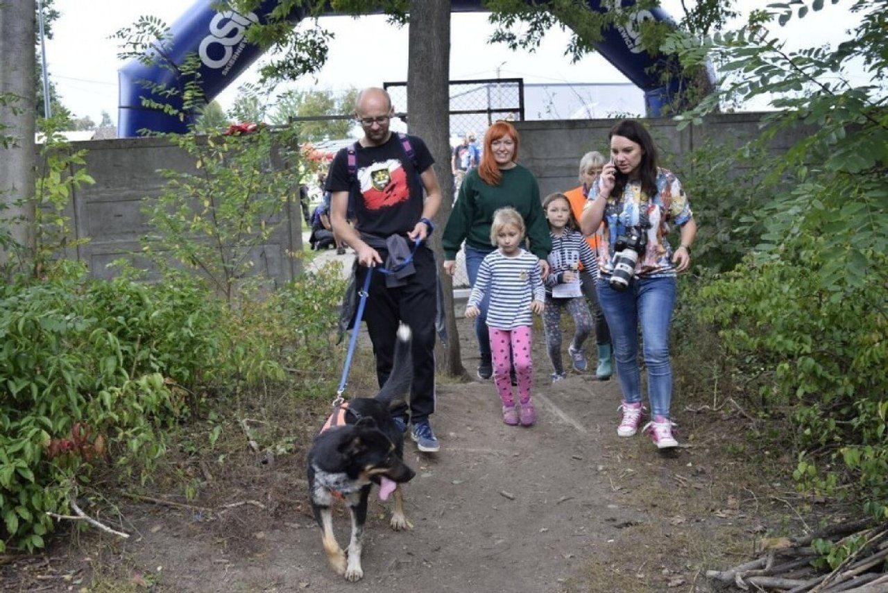 Wyjątkowy bieg w schronisku dla zwierząt. Akcję wspierają znane osoby