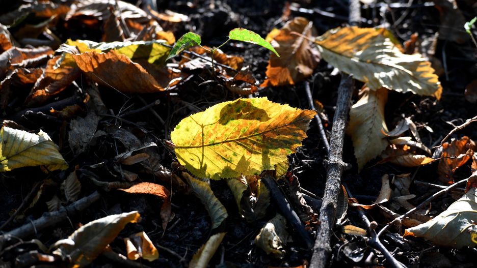 Wrocław. Pogoda. 24 września - ostatni taki ciepły dzień. Cały weekend z ulewami