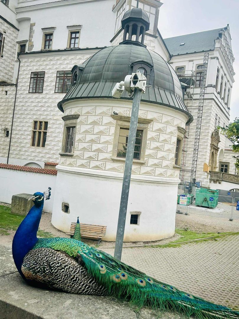 Zamek w Pardubicach, Czechy
