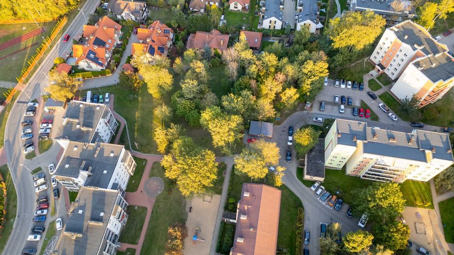 W lesie między Niską i Armii Krajowej powstanie leśny park kieszonkowy