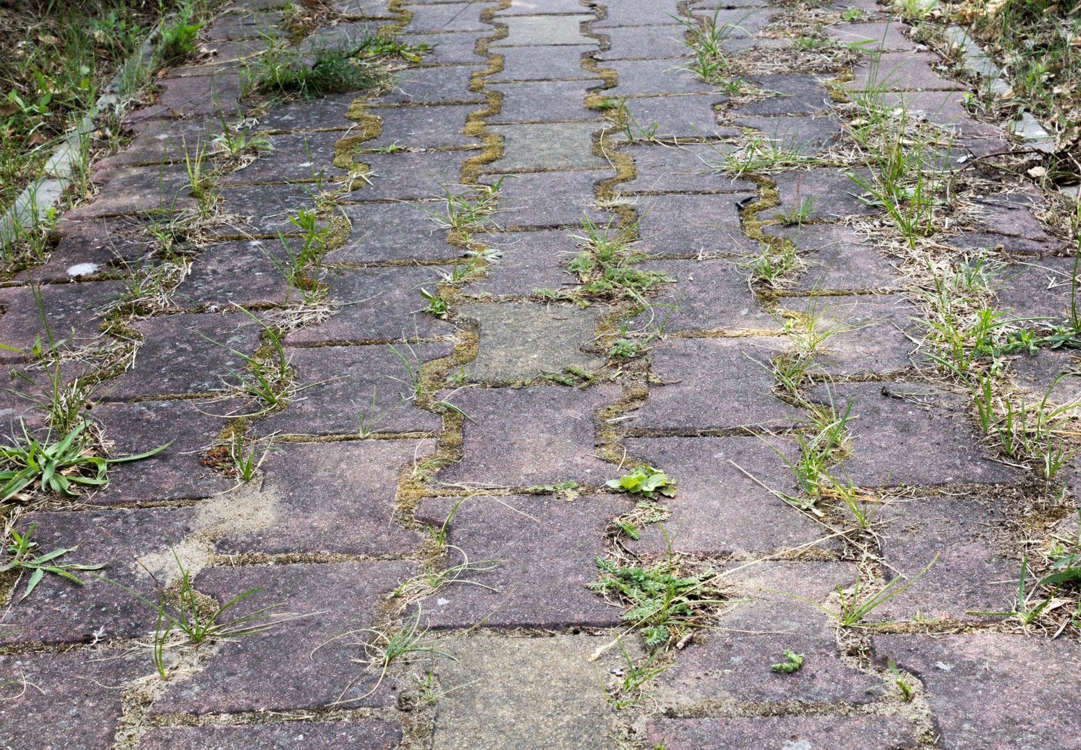 Wylej na kostkę. Rozpuści brud i "wypali" chwasty