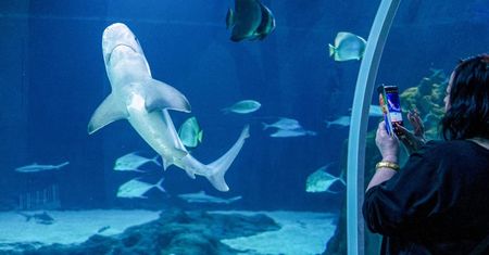 Już nie tylko zwierzęta. Nową atrakcją łódzkiego Orientarium stał się... człowiek
