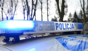 Lubuskie. Samochód śmiertelnie potrącił pieszą, spadła na nią latarnia