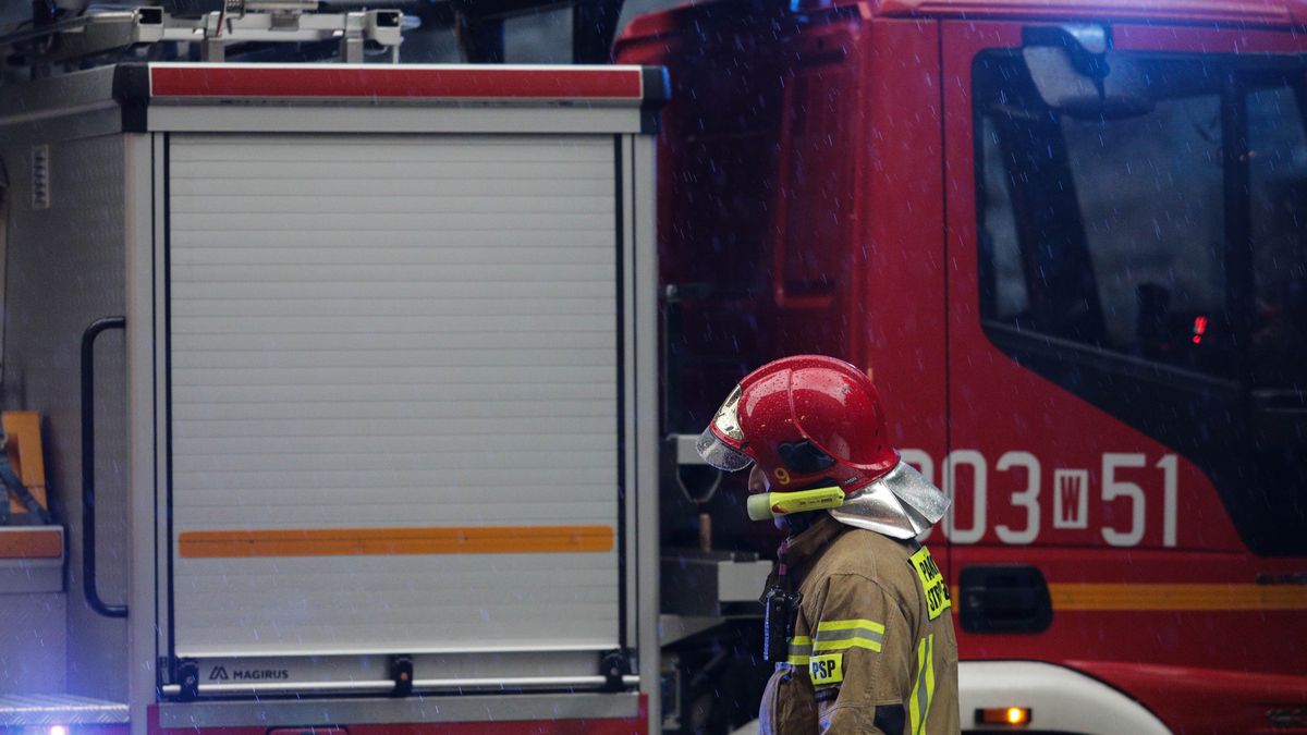 Obfite opady deszczu
Warszawa, 22.06.2020. Obfite opady deszczu w Warszawie. Straz Pozarna usuwa skutki ulewy.,Image: 534657594, License: Rights-managed, Restrictions: , Model Release: no, Credit line: Andrzej Hulimka / Forum
Andrzej Hulimka / Forum
pogoda, klimat, deszcz, ulewa, opady, burza, wiosna, sluzby mundurowe, panstwowa straz pozarna, strazak, wycinanie drzewa, galezi, woz strazacki