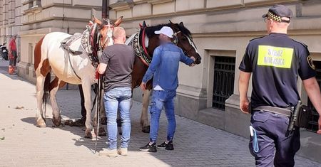 Poniedziałek rano, centrum Krakowa. Cud, że nic się nikomu nie stało