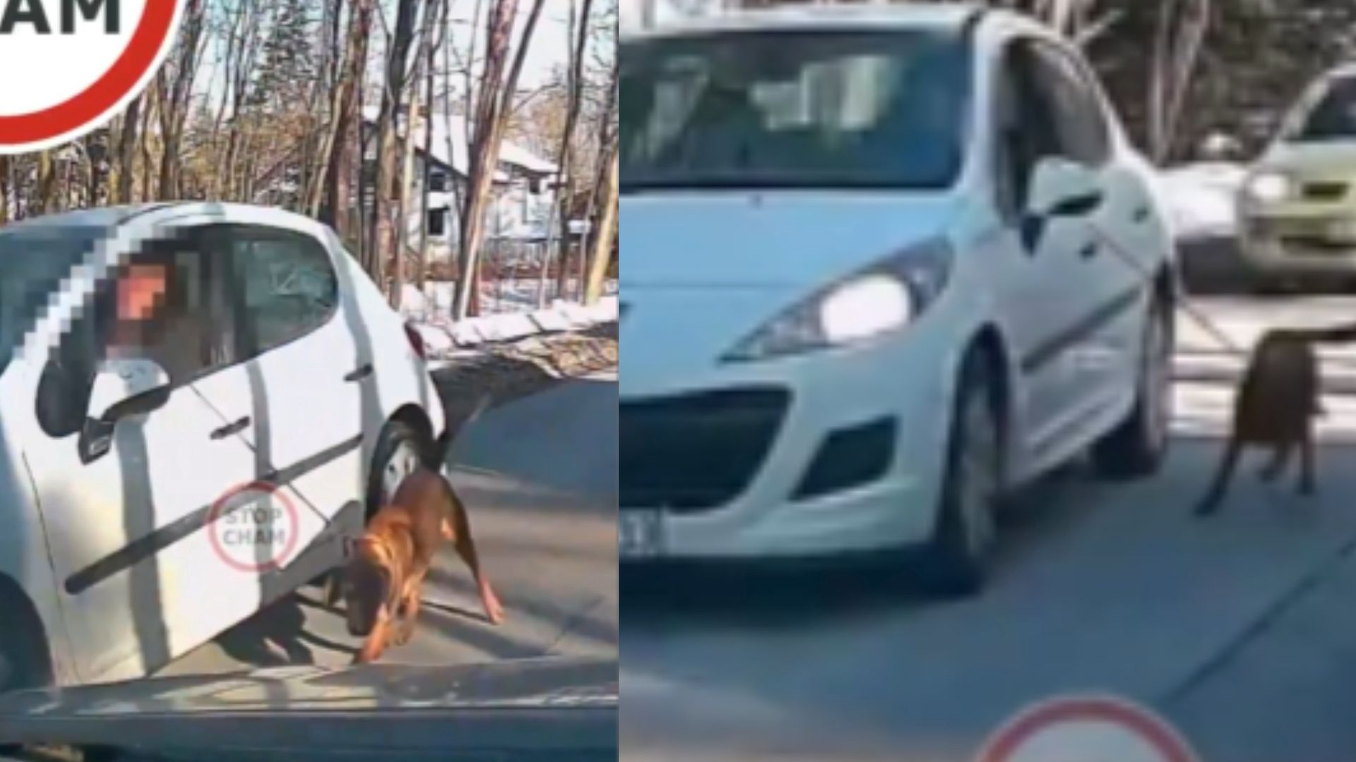 wiadomości,aktualności,WP Wiadomości Skandaliczne nagranie spod Warszawy. Jest reakcja policji