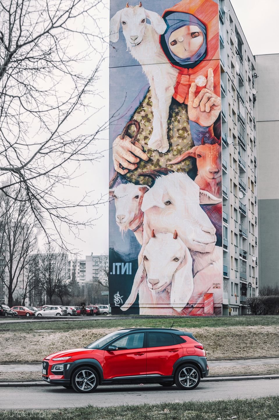 Zdjęcie ilustracyjne do artykułu