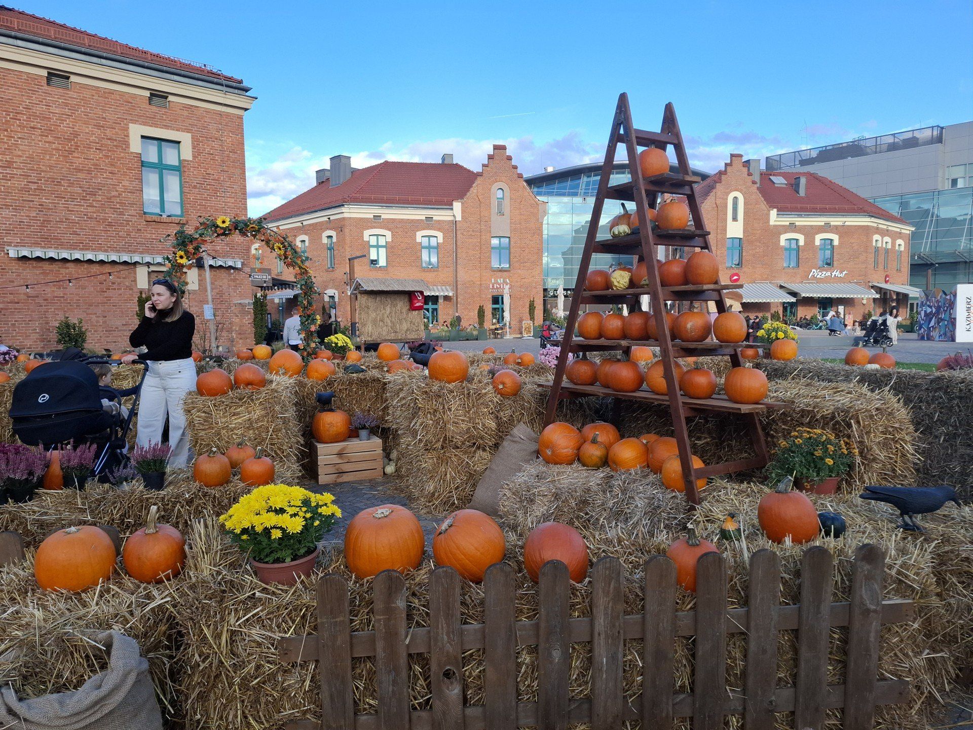 Pole Dyniowe pod Galerią Kazimierz