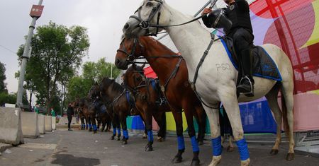 Na boisku mecz. Pod stadionem w Meksyku starcia z policją