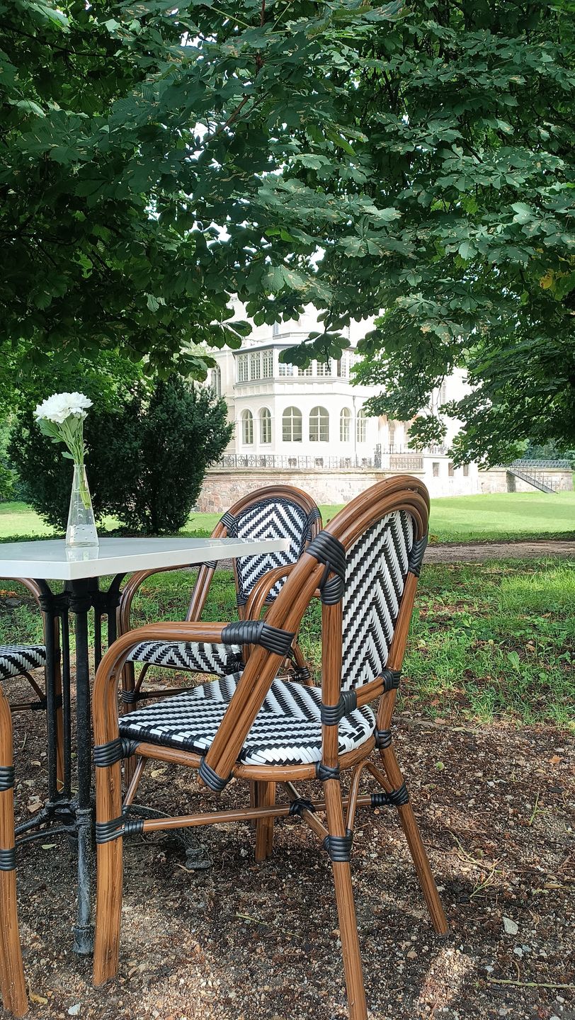 Widok od strony bażanciarni w kierunku oranżerii