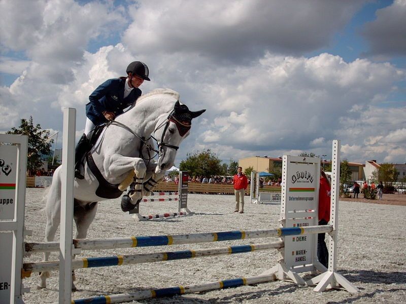 Ogólnopolskie Zawody Jeździeckie w skokach przez przeszkody