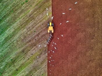 Zabłotnia: Kluczowa działka sprzedana. Rząd mówi o przejęciu siłą