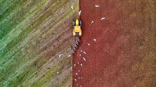 Zabłotnia: Kluczowa działka sprzedana. Rząd mówi o przejęciu siłą